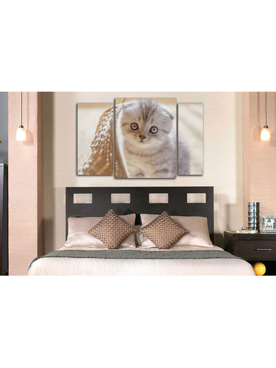 Модульная картина "Маленький в корзиночке"