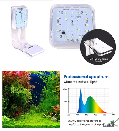 Аквариум Atman BGT-25 черный, 10 литров (254*210*260 мм)