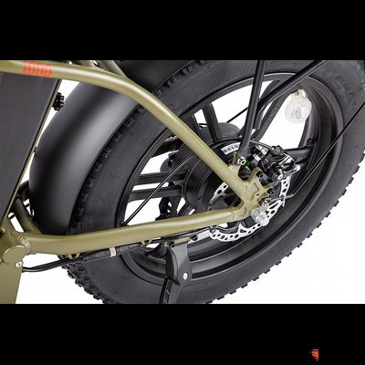 Электровелосипед INTRO Ralf 500 Зеленый