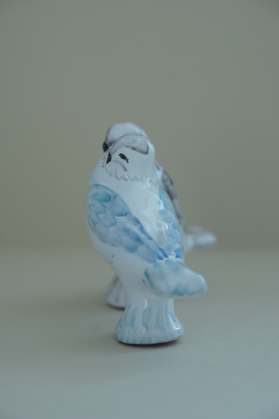 Голуби (парочка)