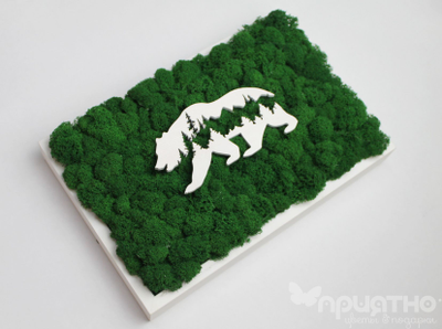 ЖИВАЯ ЭКО-КАРТИНА 1039