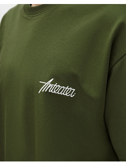 Футболка Оверсайз Anteater Phat 498 Хаки