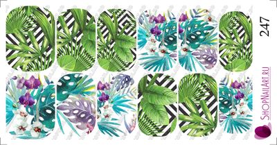 Слайдер-дизайн 247 - Листва.