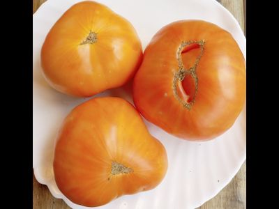 Томат Персики и крем (Peaches and Cream)