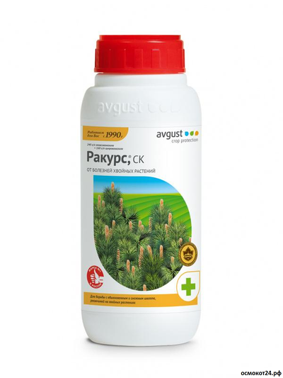 Ракурс, 48мл / 480мл