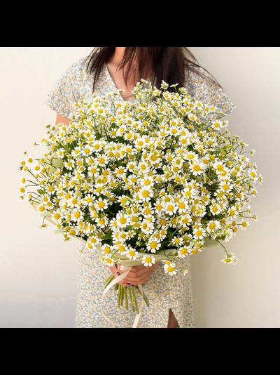 25 кустовых ромашек