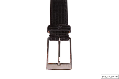 Ремень мужской Галло - 551-092