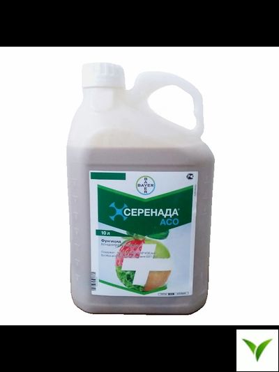Серенада АСО КС 10 л