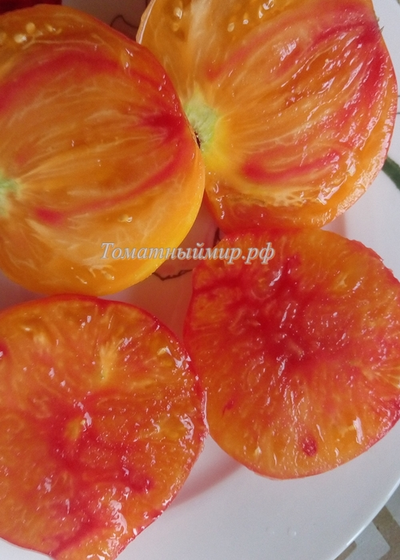 Томат Помаранч (Pomaranch)