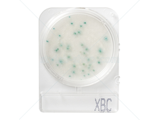 Подложки Compact Dry XBC (бациллы эхиноцереус)