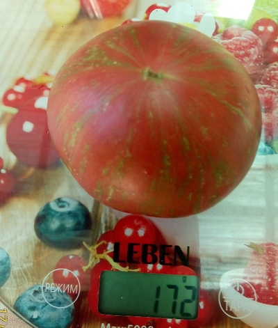 Томат Хлоя (Chloe) США