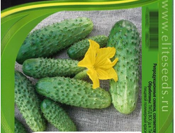 огурцы "Мурашка" семена