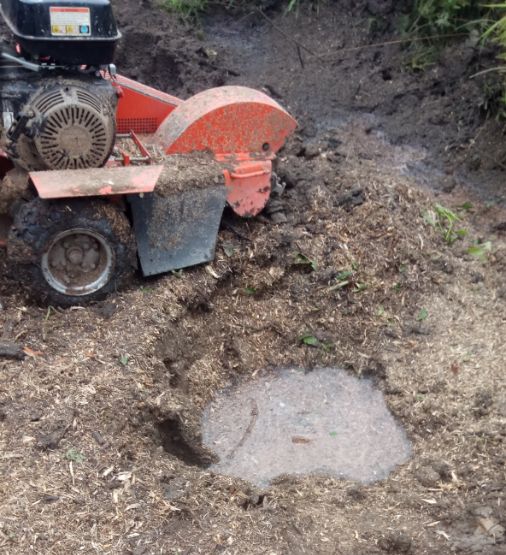 Дробление пней в Луге