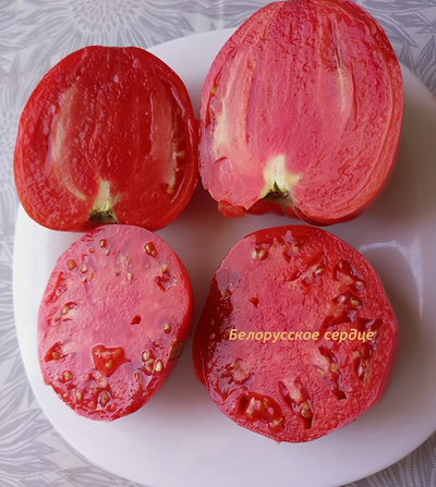 Томат Белорусское сердце