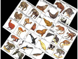 Комплект таблиц по зоологии раздат. "Разнообразие животных. Млекопитающие." (цвет.,лам., А4, 16 шт.)