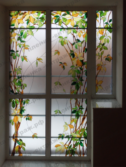 Витражная пленка, витражная пленка самоклеющаяся под заказ,пленочный витраж с листьями