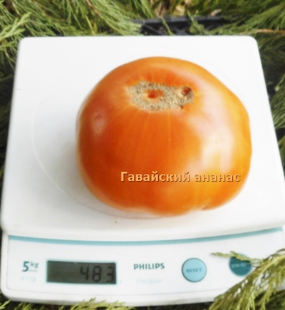 Томат Гавайский ананас (Hawaiian Pineapple)