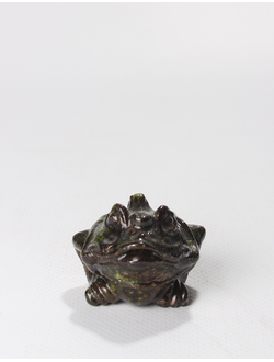 Денежная Трехлапая Жаба 4