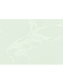 Calacatta Belluno CB-432