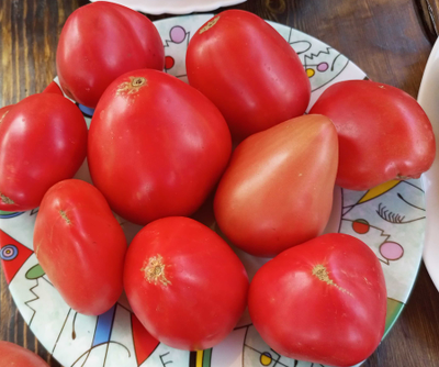 Томат Яйцо Быка с реки Гуадаррама (Huevo Toro Del Rio Guadarrama)