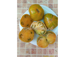 Томат Kozula 179 (Zebra Zolta /Volta , Польша)