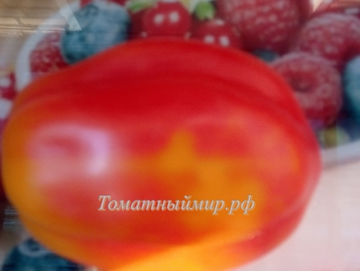 Томат Калифорнийский тюльпан (California tulip)