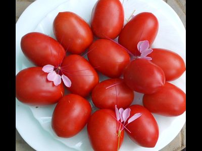 Томат Мархотская кисть (Мархотское гроно)