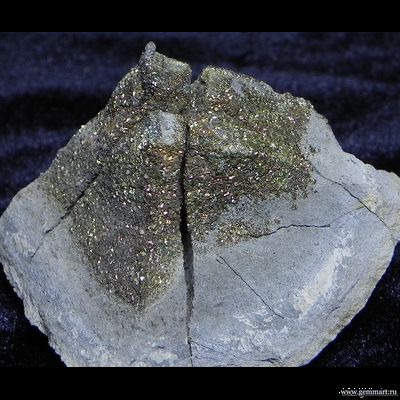 Пирит, "спектропирит", в полости конкреции. Россия. 65*35*40мм