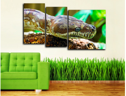 Модульная картина "Рептилия"