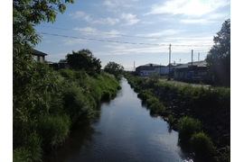 Речка Корсаковка