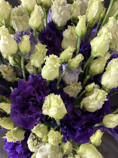 Эустома 25 шт