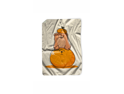 Покрывало Капибара, Kapibara-san №22