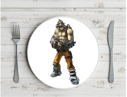 Тарелка Borderlands, Бордерленд №27