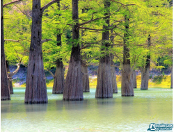 Анапа и кипарисовое озеро (индивидуально)