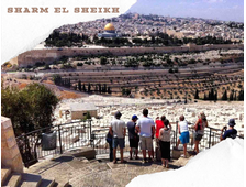 TRIP TO ISRAEL FROM SHARM EL SHEIKH