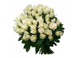 роза белая 51 шт