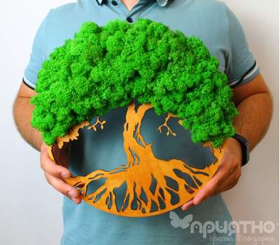 Живая Эко-Картина 1068