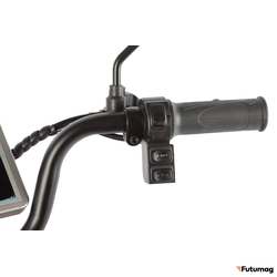 Электротрицикл Rutrike Gelbert Kappa 48V/60V 650Вт красный