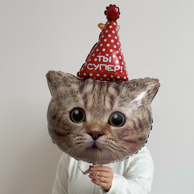 Шарики Коты