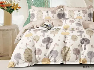 Постельное белье Cleo двуспальное сатин 180х210х1 230х240х1 70х70х2 20/866-SK