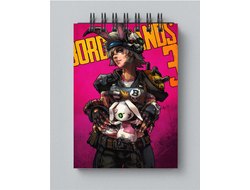 Блокнот Borderlands, Бордерленд №2