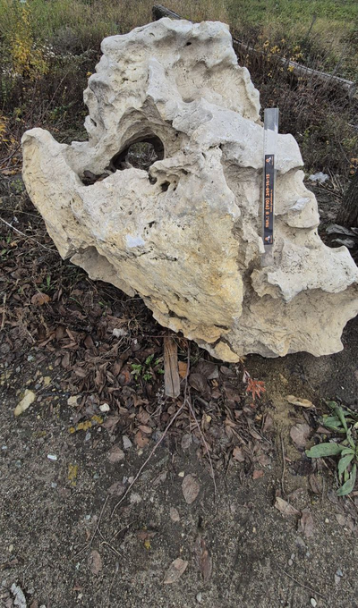 Известняк Эльбрус Венецианская маска