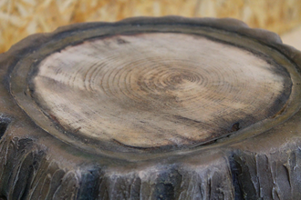 Stump