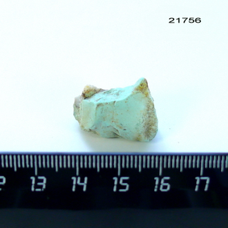 Бирюза натуральная (необработанная) Казахстан арт.21756: 7,9г - 28*21*18мм