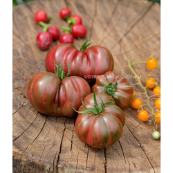 Томат Ярсон 12/1 (Jarson 12/1), 10 шт