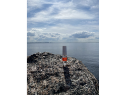 Духи НОТА: МУЖСКАЯ КОЖА 3,5 мл