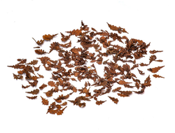 MiniWarPaint: Листья дуба. Размер "M"