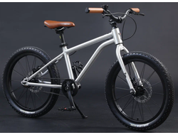 Велосипед детский TT133/ 1ск 20" серебряный рама 12"