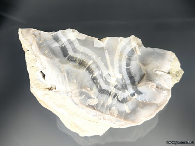 Агат, халцедон,  (разн. кварц). Россия. 155*100*80мм