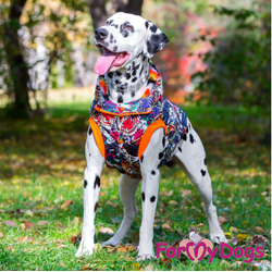 КУРТКА ТИГР СИНЯЯ